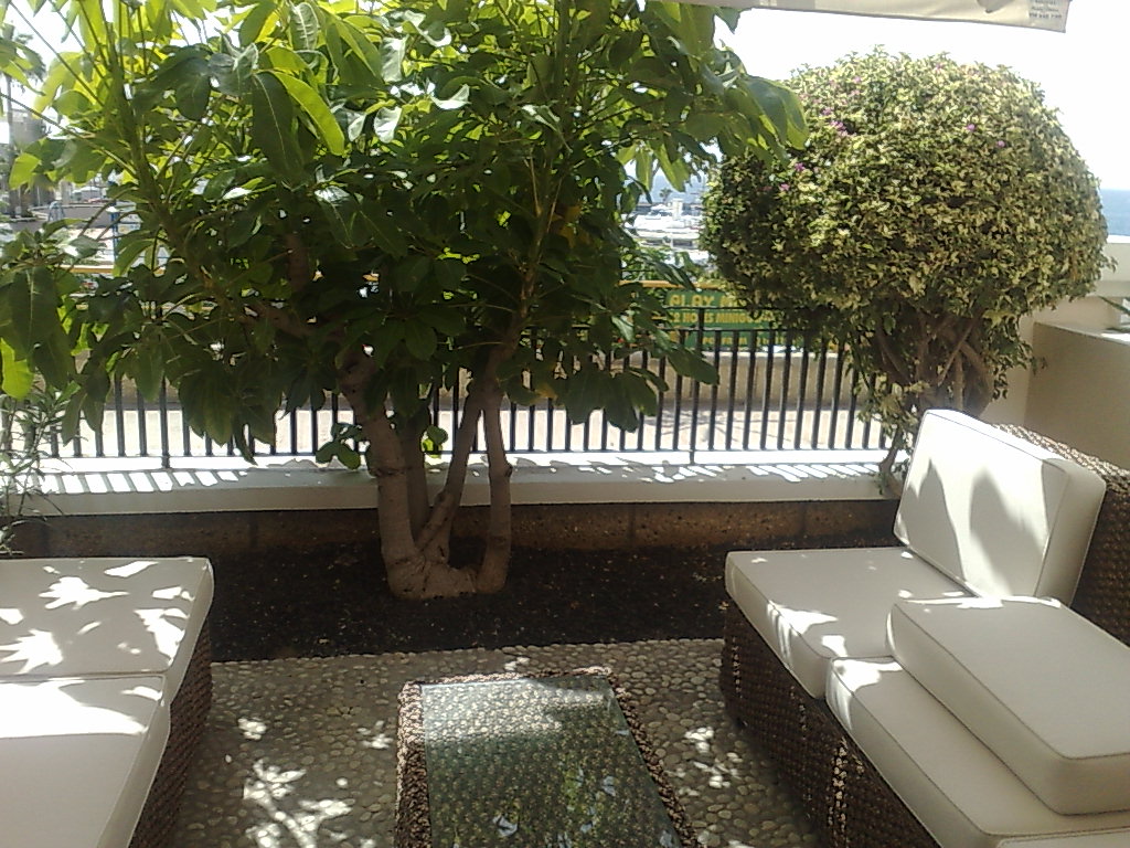 310820102237.jpg