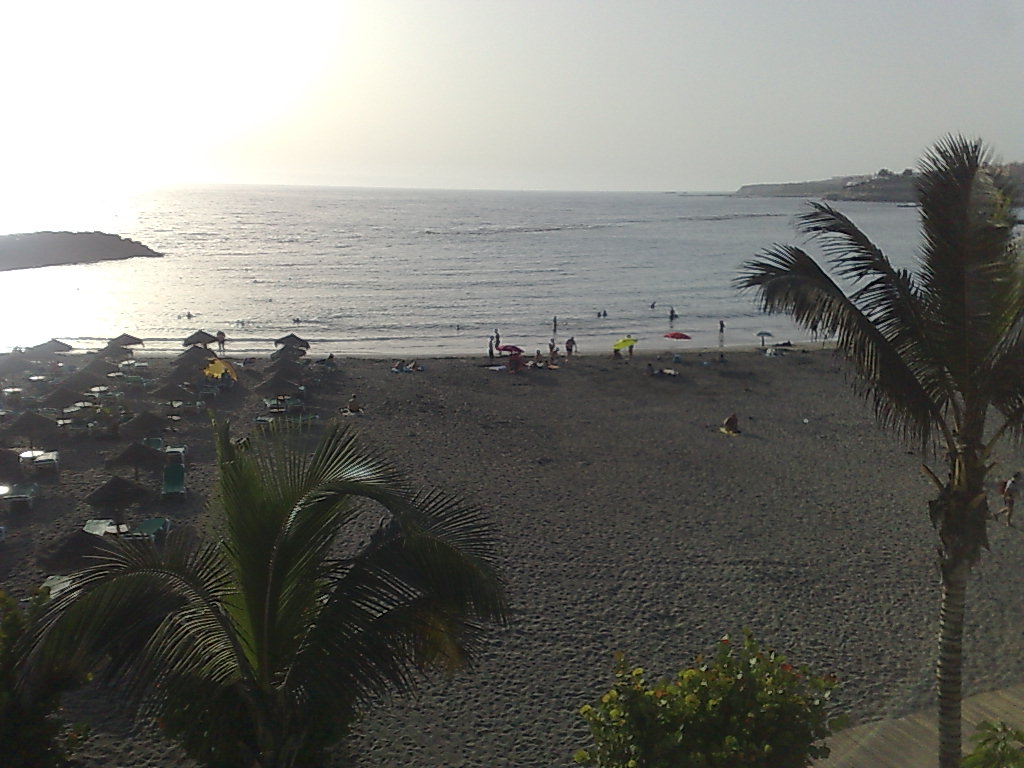 310820102245.jpg