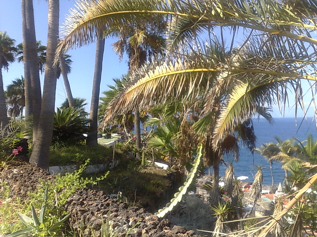 020920102276.jpg