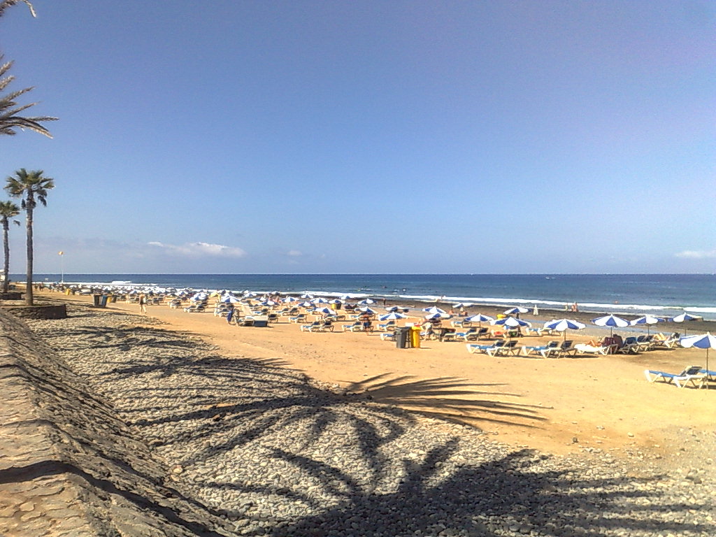 020920102299.jpg