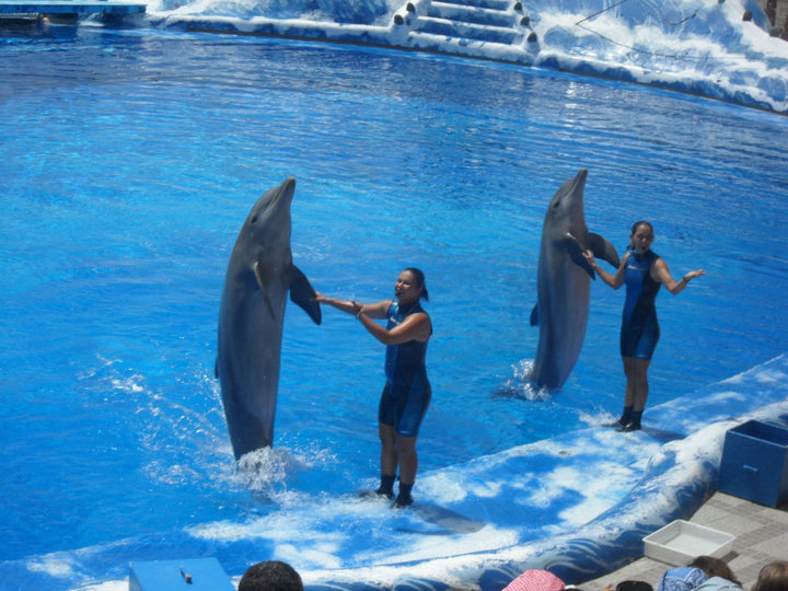 tenerife 2010 32.jpg