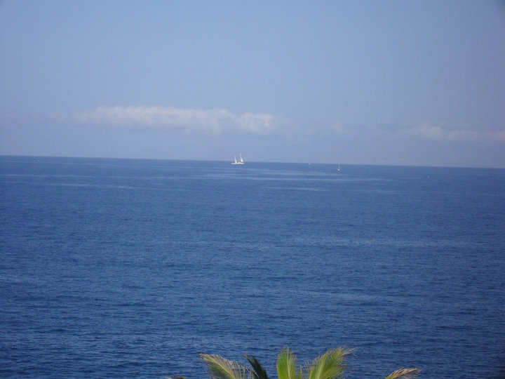 tenerife 2010 33.jpg