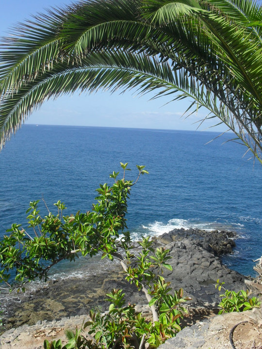 tenerife 2010 35.jpg
